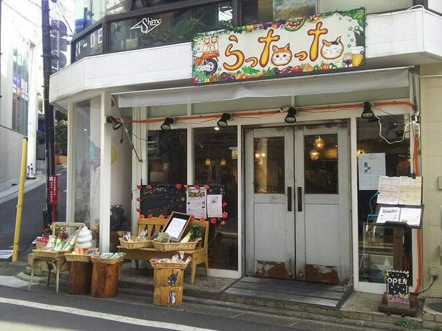 居心地のよいアットホームなカフェ!