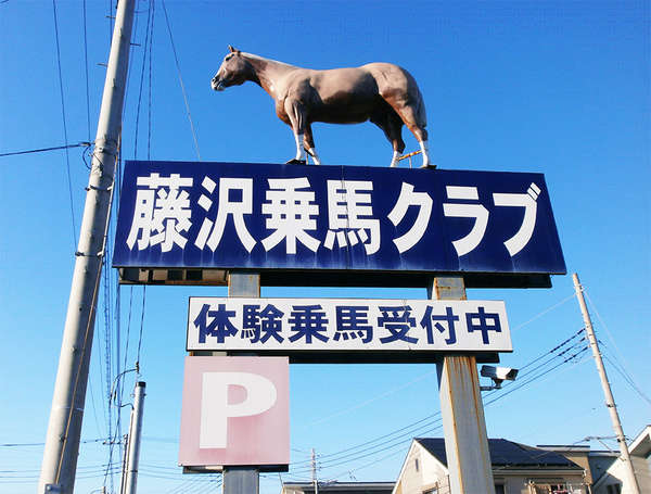 馬とのふれあいを楽しめる｢藤沢乗馬クラブ｣の画像