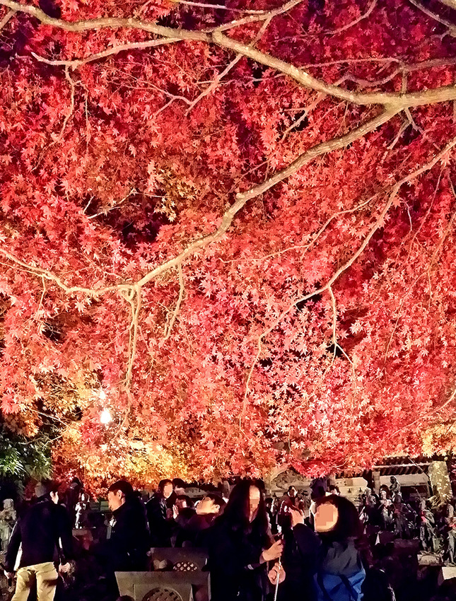 息をのむほど美しい紅葉シーズンの景観