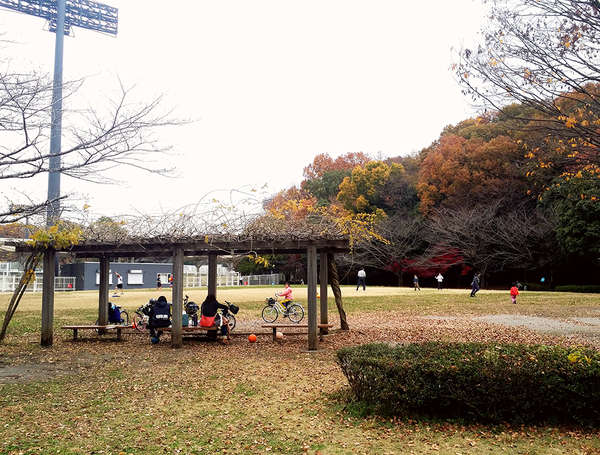 多摩の里山風景が残る自然あふれる野津田公園の画像
