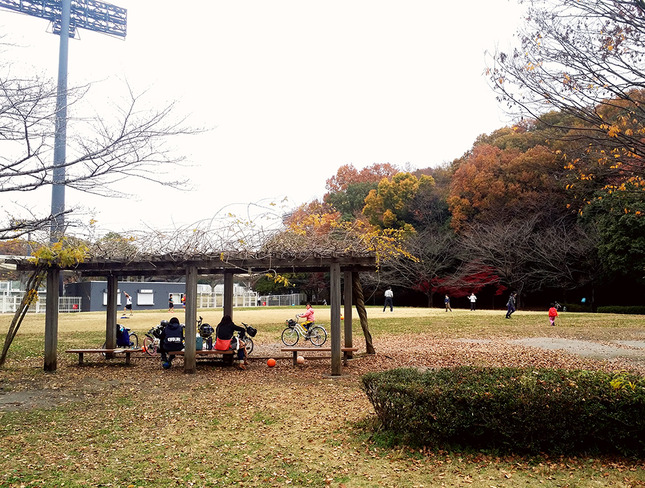 多摩の里山風景が残る自然あふれる野津田公園