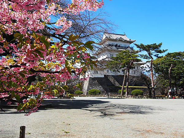 小田原に春がやってきた！の画像