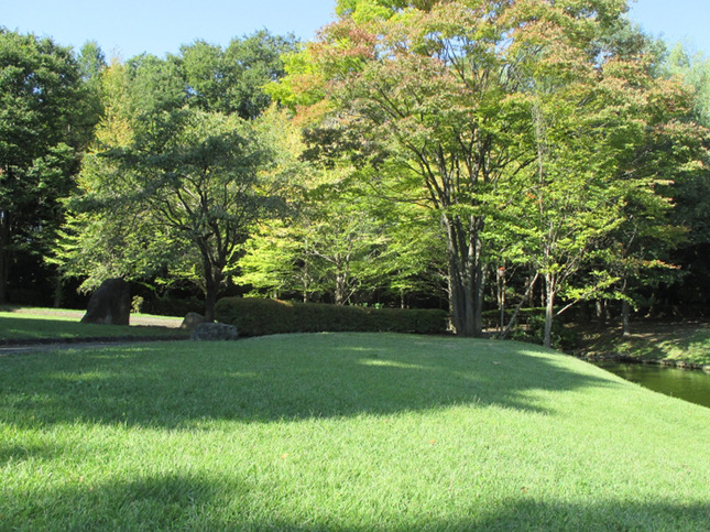 鎌倉を歩き、万葉にふれる 多摩 よこやまの道 一本杉公園