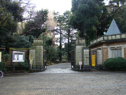 駒場公園 落ち着いたお花見の名所