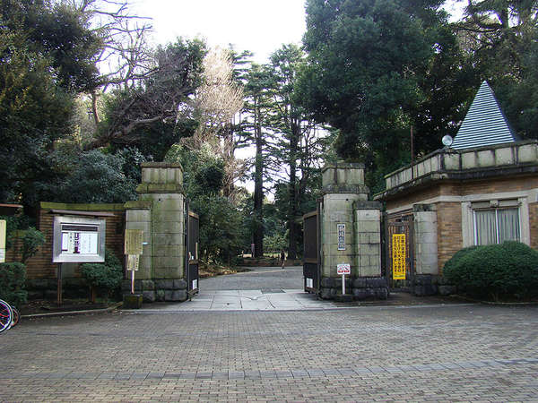 駒場公園 落ち着いたお花見の名所の画像