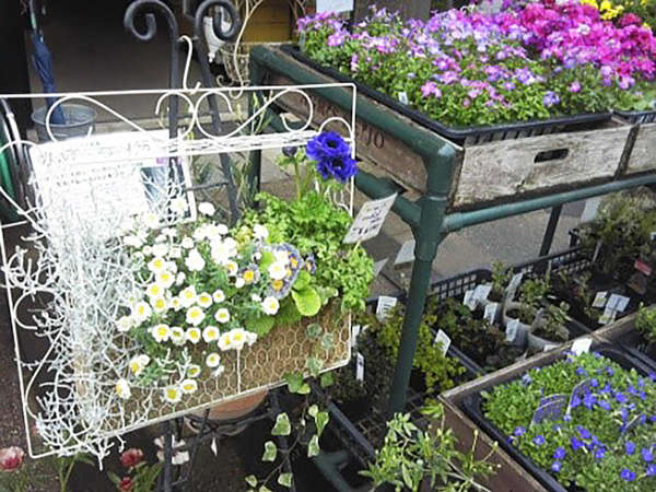 成城学園前西口の花屋さんの画像