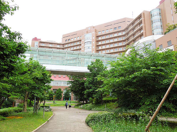 未来を担う子供たちへの画像