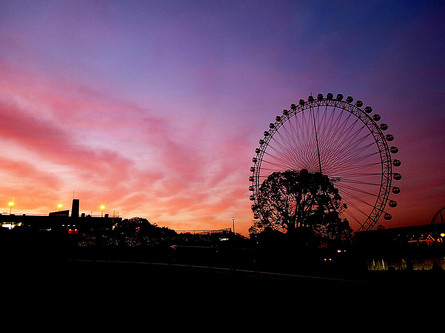 見上げる夕焼け