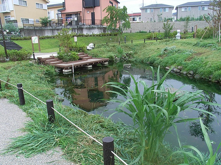 秦野湧水巡り「今泉あらい湧水公園」