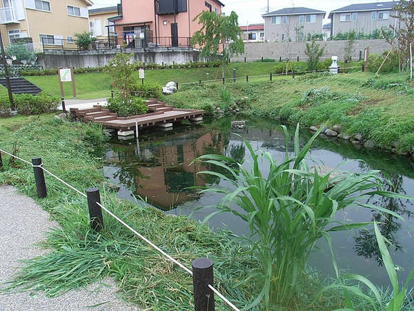 秦野湧水巡り「今泉あらい湧水公園」の画像