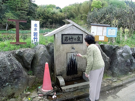 秦野湧水巡り③「若竹の泉」