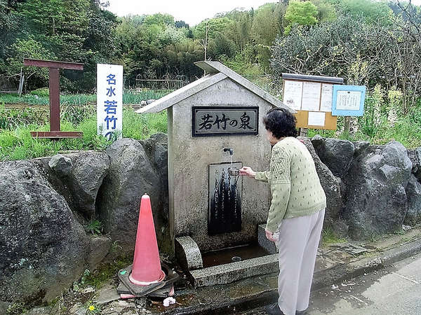 秦野湧水巡り③「若竹の泉」の画像