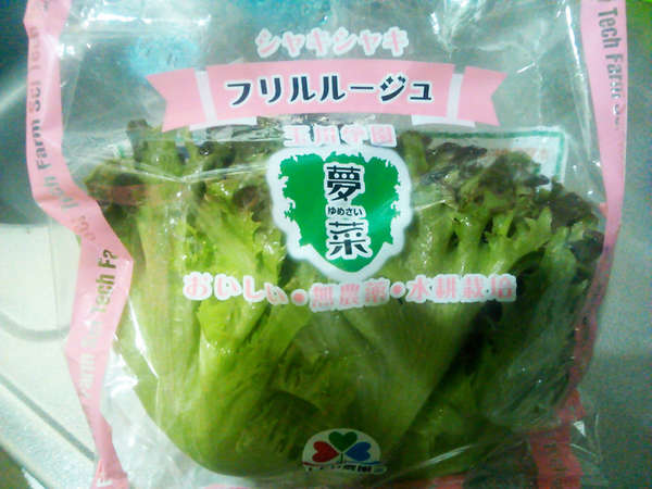 LED農園の画像