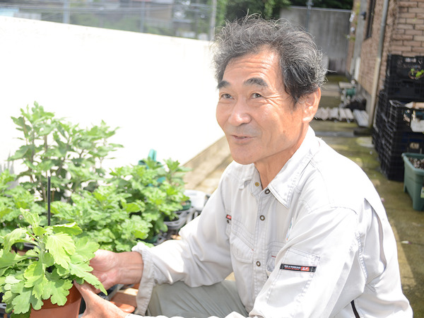 日本一の菊作り・グリーンアップセンター鈴木宣夫さんの画像