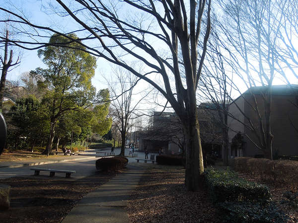 木々溢れ、水のある公園の画像
