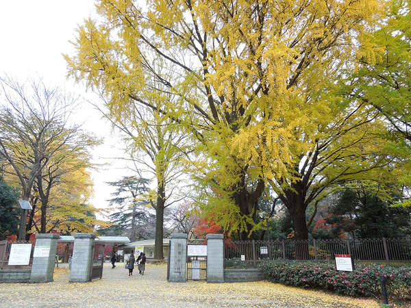 大都会の中のオアシスの画像