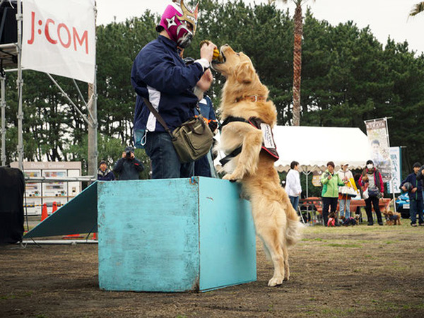 ペットと一緒に楽しんで、学べる動物愛護イベント！の画像