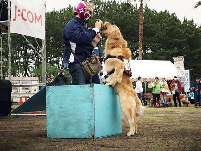ペットと一緒に楽しんで、学べる動物愛護イベント!