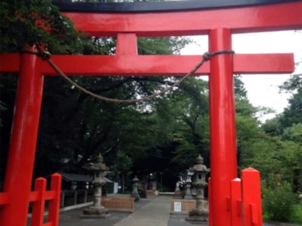 参拝しつつ境内の風景も楽しもうの画像