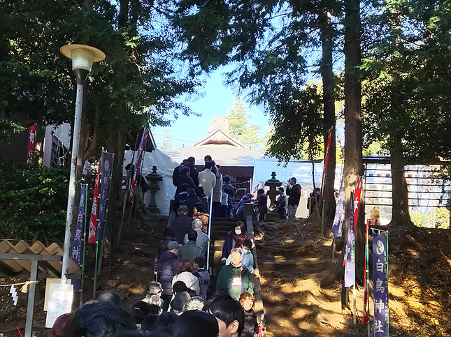 初詣 白鳥神社