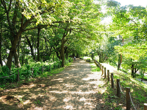 歴史と文化に触れる10Kmに時間を忘れての画像