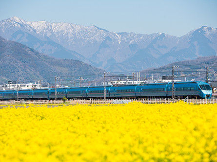 菜の花とロマンスカー