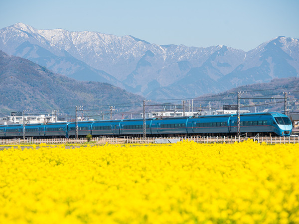 菜の花とロマンスカー