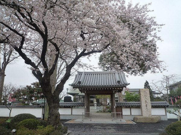 毎年恒例！盛岩寺の花まつり・歌まつりの画像