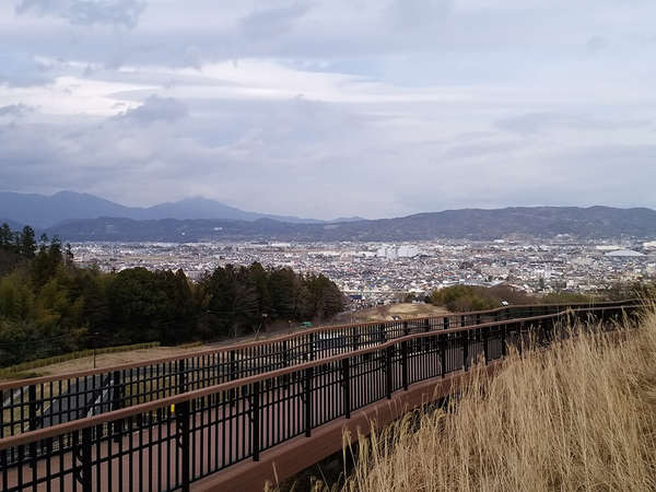 新緑の公園の画像