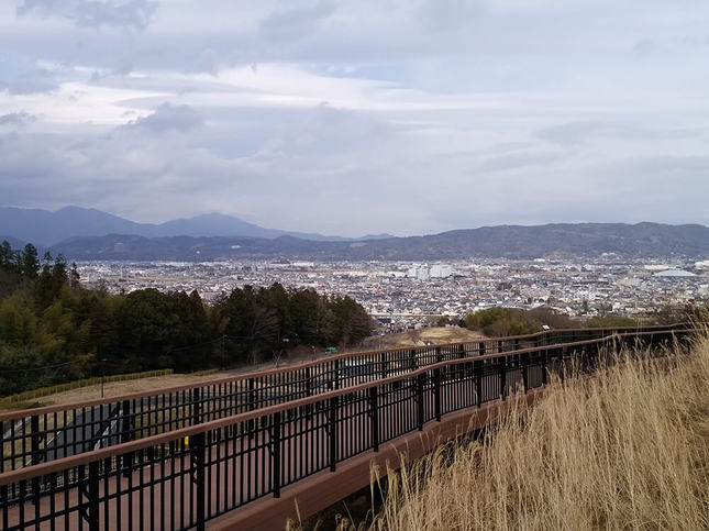 新緑の公園