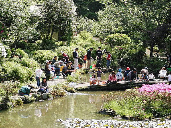 遊びどころがいっぱい、東丹沢グリーンパークの画像