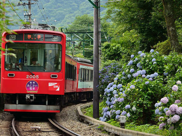 あじさい電車、心を和ませる旅の画像