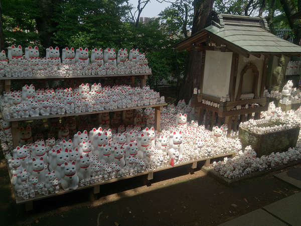 愛猫の病気平癒を願って豪徳寺への画像