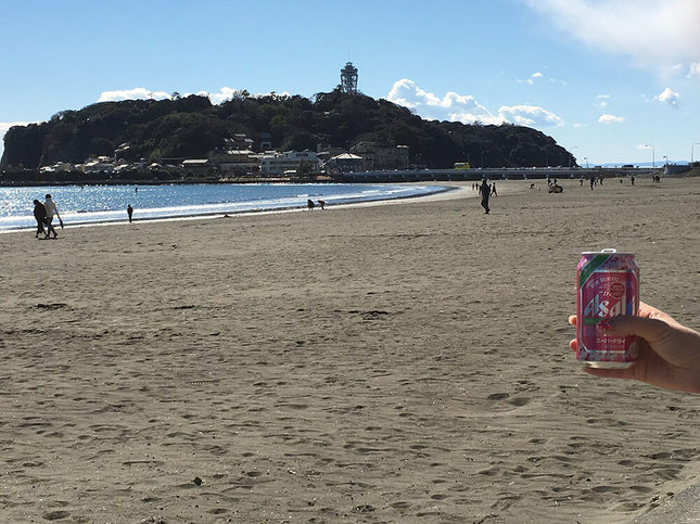 初夏の江ノ島で太陽を浴びてお散歩はいかが？？