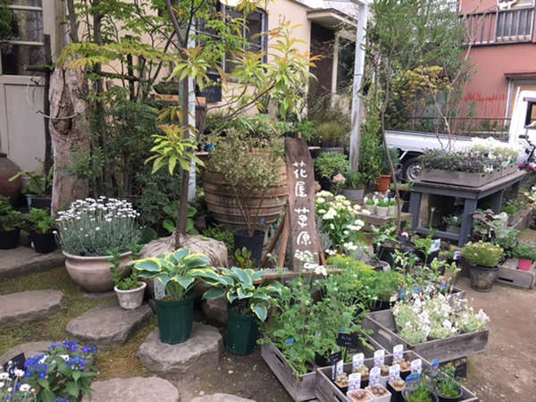 アンティーク雑貨も扱うお花屋さんの画像