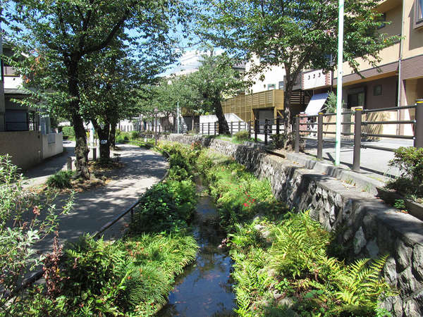癒しの散歩道、北沢川緑道の画像