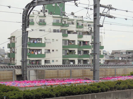 経堂駅の線路にお花