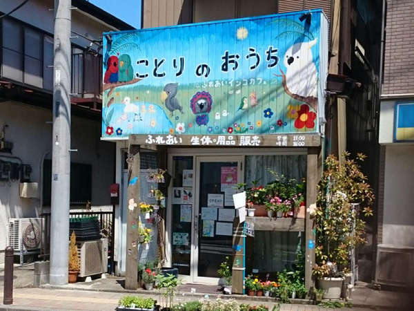癒しのインコカフェの画像