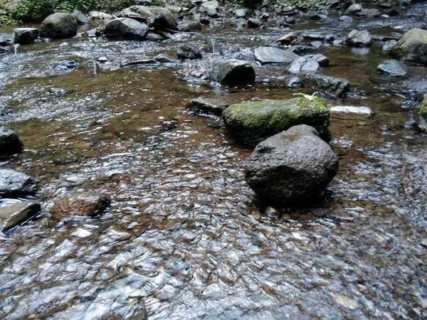 川遊びをしながらバーベキューの画像