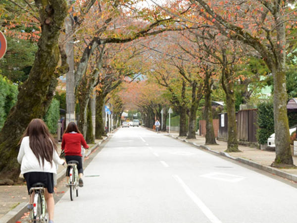 小田原散策はらくらく快適なレンタサイクルでの画像