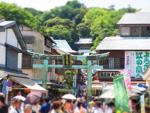 なんてったってエノシマの画像