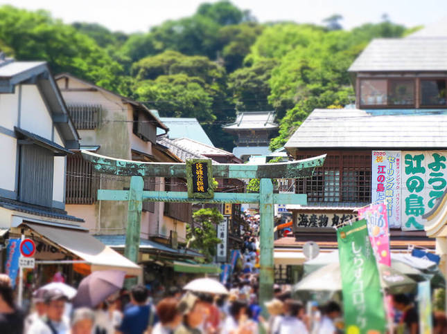 なんてったってエノシマ