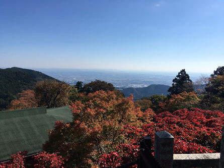 紅葉の時期ですね