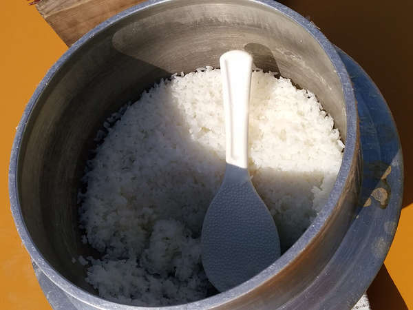 農業体験の画像