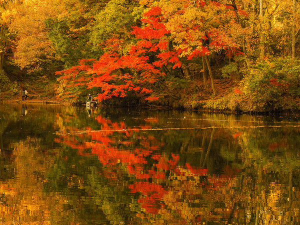 湖畔でゆっくりお散歩！隠れた紅葉スポットの画像