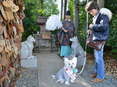 ペットと一緒に祈願できる神社