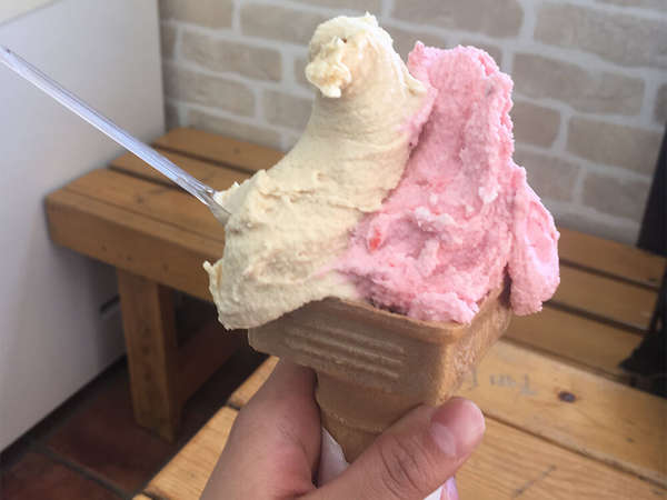 メディア出現多数のアイス工房の画像