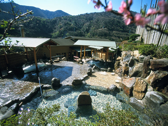 山を眺めながら天然温泉でリラックス