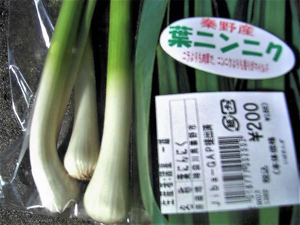 害獣対策で葉ニンニクを特産の画像
