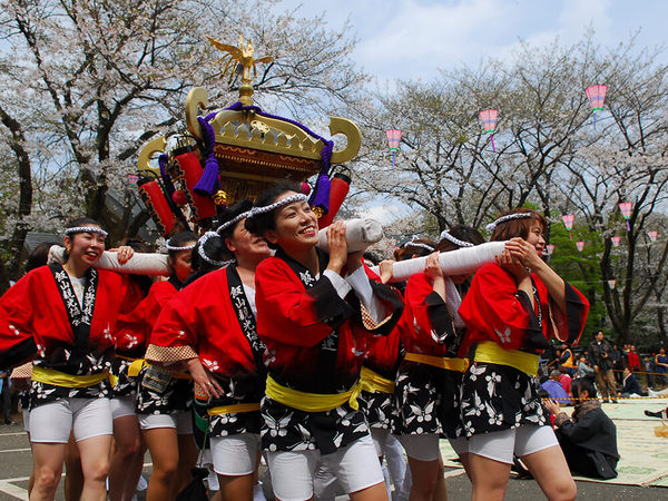 今年も盛大に開催されます！「あつぎ飯山桜まつり」の画像